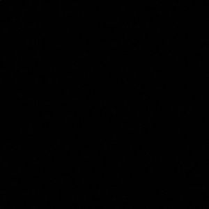 Meet your Posher, Bree